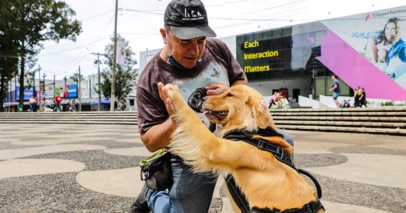 Más de 500 perros fueron vacunados en Plaza Cristóbal Colón, Avenida las Américas