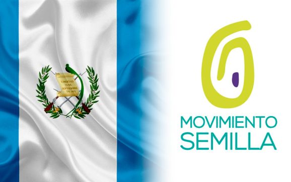 Lo único que debe hacer Semilla