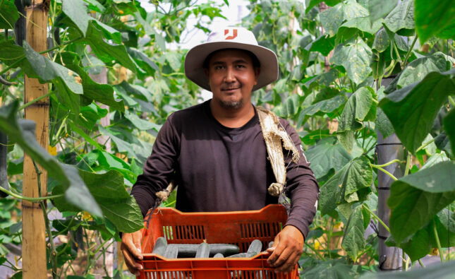 Innovar desde lo local: el giro de los productores salvadoreños