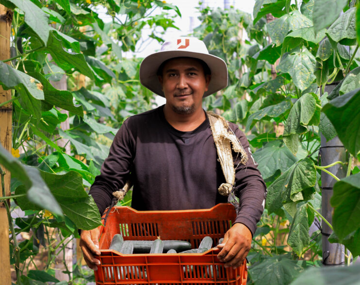 Innovar desde lo local: el giro de los productores salvadoreños