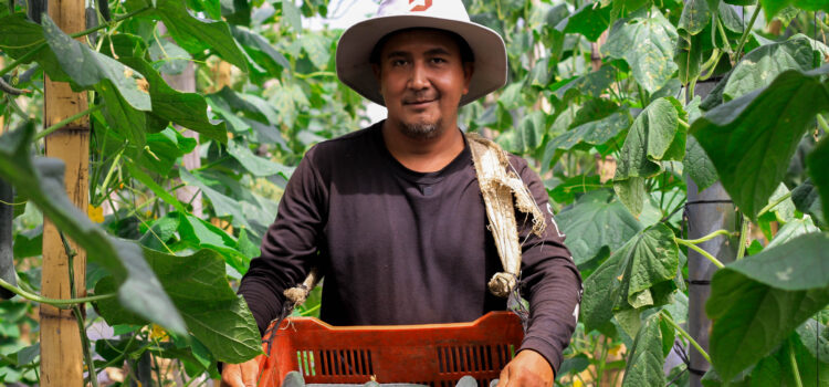 Innovar desde lo local: el giro de los productores salvadoreños