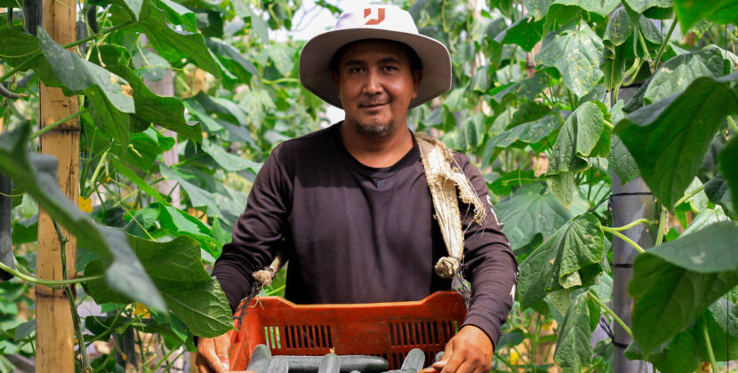 Innovar desde lo local: el giro de los productores salvadoreños