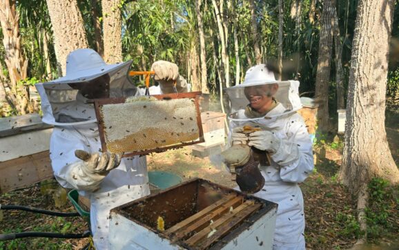 Grupo AJE renueva alianza con WCS para proteger la selva guatemalteca