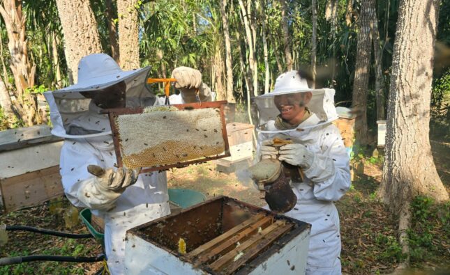 Grupo AJE renueva alianza con WCS para proteger la selva guatemalteca
