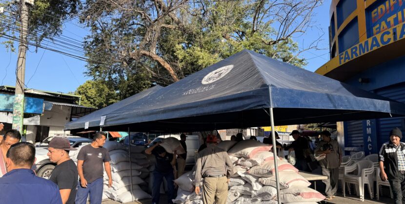 Intermediarios duplican el precio del frijol; MAG interviene con estrategia de estabilización en El Salvador