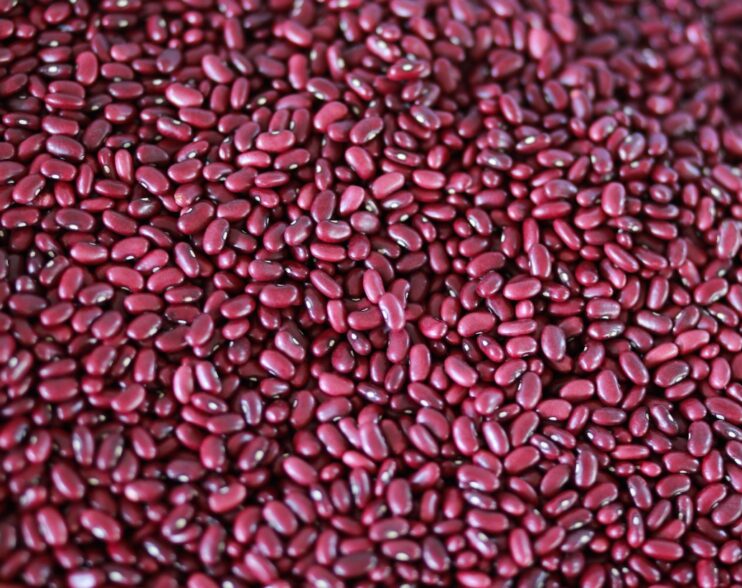 El Salvador desmiente rumores sobre escasez de frijol y refuerza control de precios