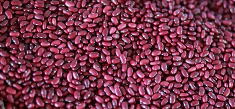 El Salvador desmiente rumores sobre escasez de frijol y refuerza control de precios