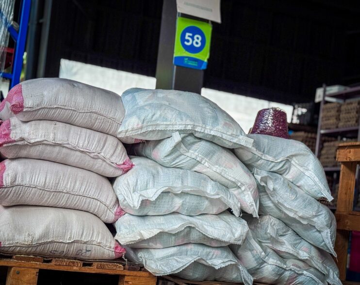 El Salvador refuerza su autosuficiencia alimentaria con una cosecha sólida de frijol rojo