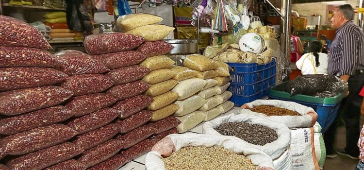 El Salvador intensifica siembra de maíz para frenar la especulación en los precios