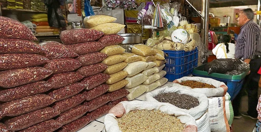 El Salvador intensifica siembra de maíz para frenar la especulación en los precios