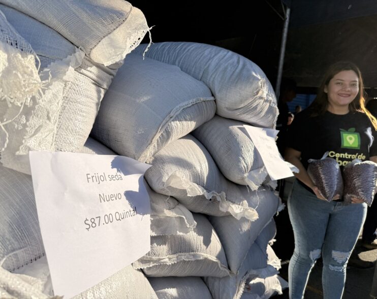 Gobierno de El Salvador impulsa paquete agrícola para fortalecer cultivos de frijol y maíz