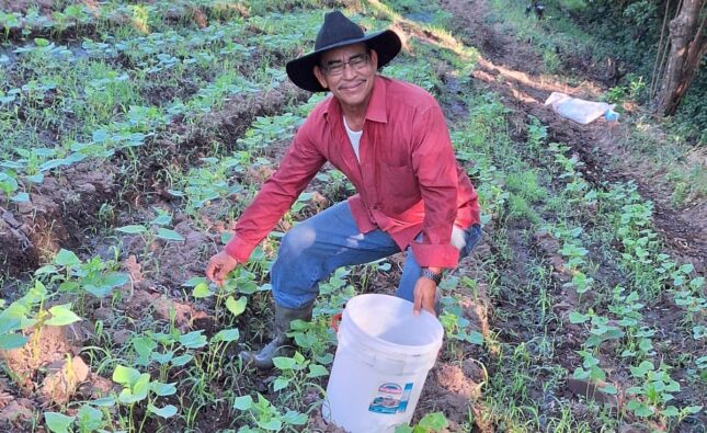 El Salvador apuesta por la autosuficiencia alimentaria a través de la producción de granos básicos