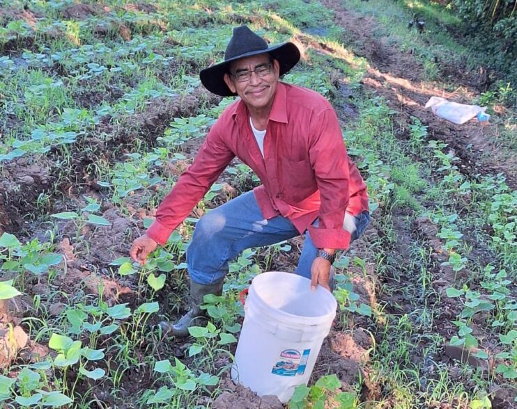 El Salvador apuesta por la autosuficiencia alimentaria a través de la producción de granos básicos