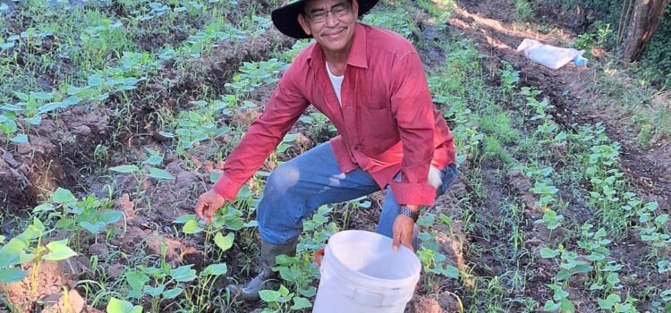 El Salvador apuesta por la autosuficiencia alimentaria a través de la producción de granos básicos