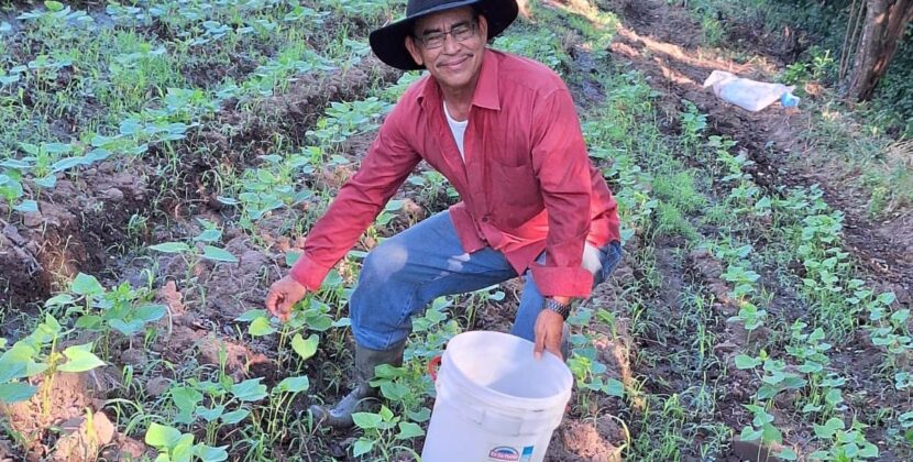 El Salvador apuesta por la autosuficiencia alimentaria a través de la producción de granos básicos