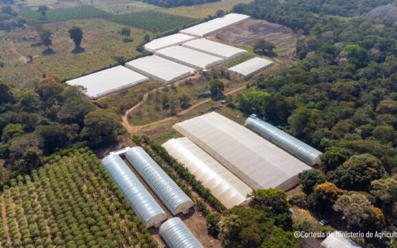 El Salvador fortalece su agricultura con apoyo de FAO y PMA
