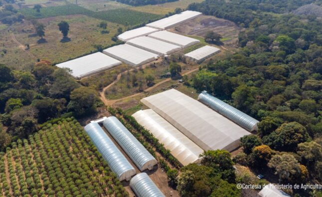 El Salvador fortalece su agricultura con apoyo de FAO y PMA