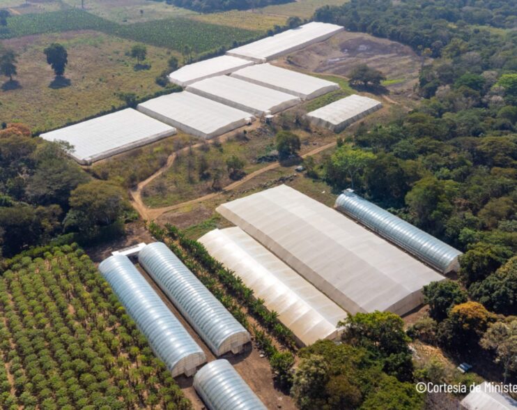 El Salvador fortalece su agricultura con apoyo de FAO y PMA