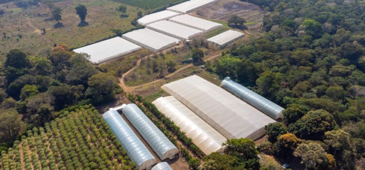 El Salvador fortalece su agricultura con apoyo de FAO y PMA
