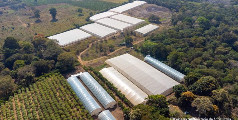 El Salvador fortalece su agricultura con apoyo de FAO y PMA