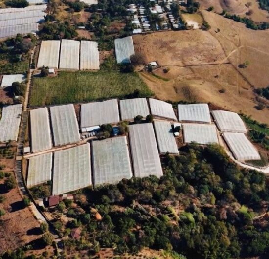 El Salvador apuesta por la modernización agrícola en medio de la volatilidad global