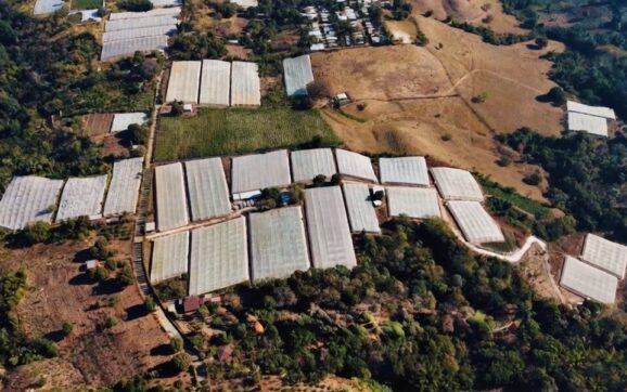 El Salvador apuesta por la modernización agrícola en medio de la volatilidad global