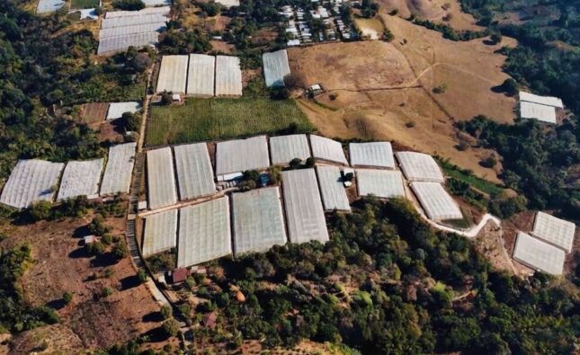 El Salvador apuesta por la modernización agrícola en medio de la volatilidad global