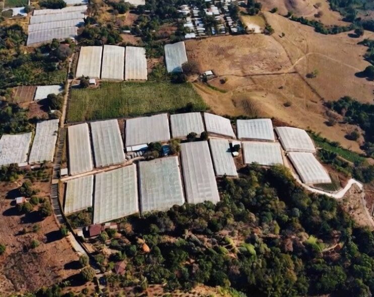 El Salvador apuesta por la modernización agrícola en medio de la volatilidad global