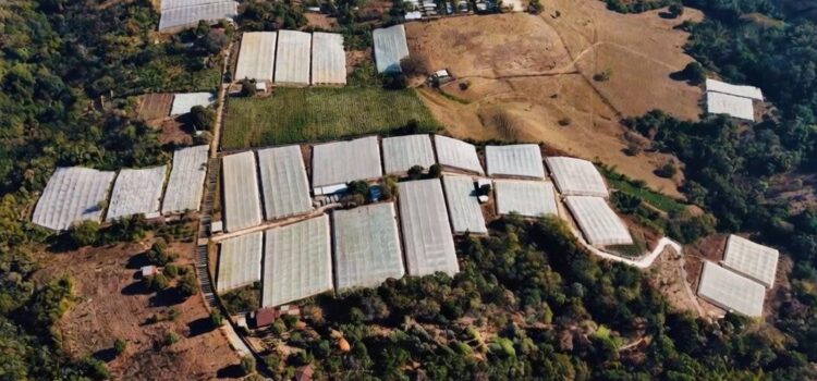 El Salvador apuesta por la modernización agrícola en medio de la volatilidad global