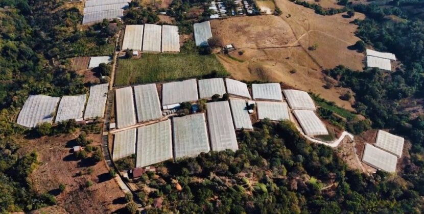 El Salvador apuesta por la modernización agrícola en medio de la volatilidad global