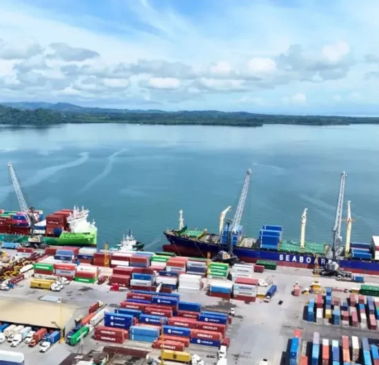 Nueva ley portuaria divide criterios entre comisiones legislativas y gobernanza divide los dictámenes