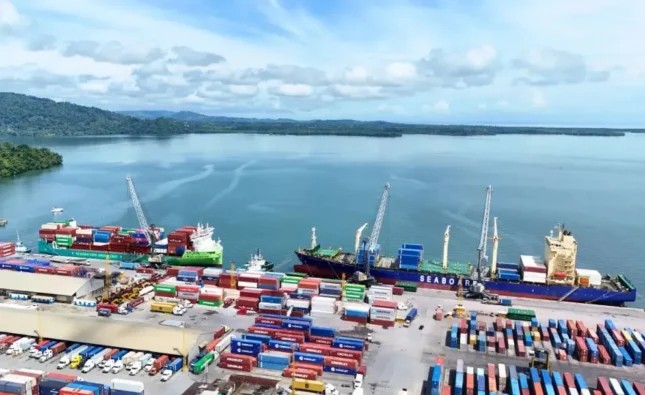 Nueva ley portuaria divide criterios entre comisiones legislativas y gobernanza divide los dictámenes