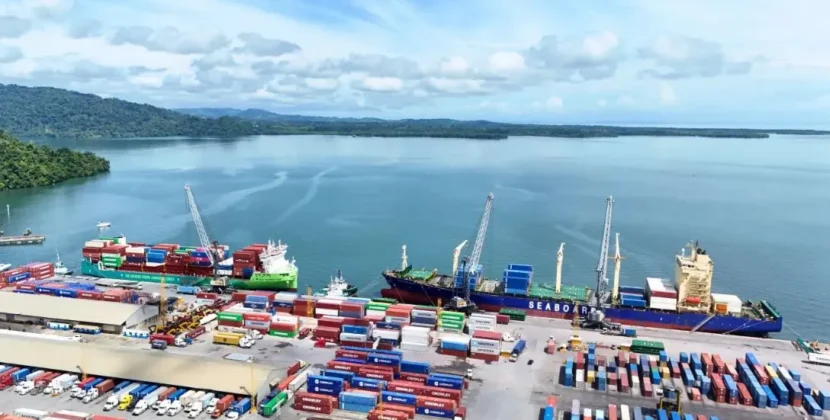 Nueva ley portuaria divide criterios entre comisiones legislativas y gobernanza divide los dictámenes