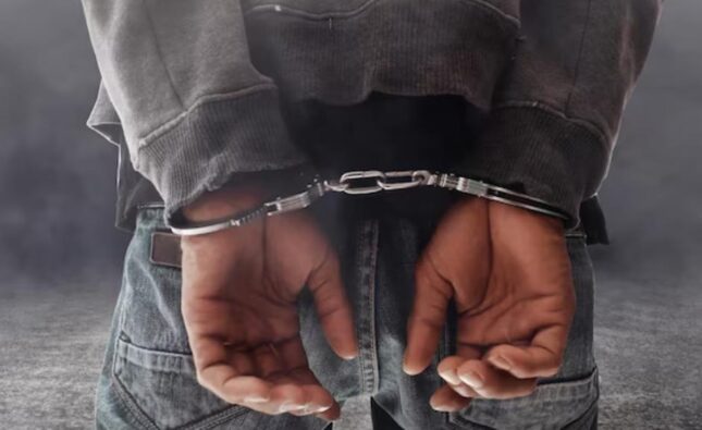 Capturan a hombre que intentó agredir con arma blanca a su progenitora