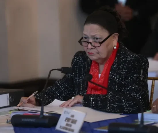 Elección de Fiscal General: Consuelo Porras recibe 33 tachas al cierre de recepción de señalamientos