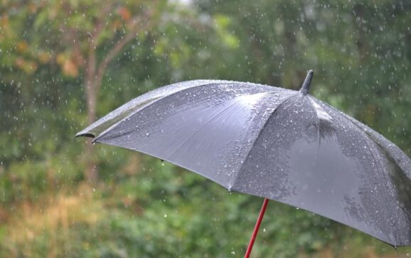 Fuerte viento y lloviznas se esperan para el jueves 19 de marzo