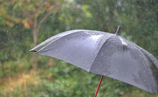 Fuerte viento y lloviznas se esperan para el jueves 19 de marzo