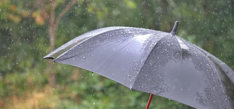 Fuerte viento y lloviznas se esperan para el jueves 19 de marzo