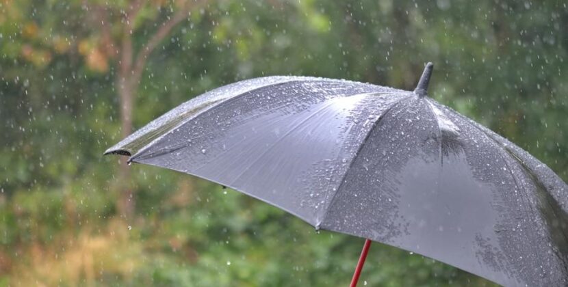 Fuerte viento y lloviznas se esperan para el jueves 19 de marzo
