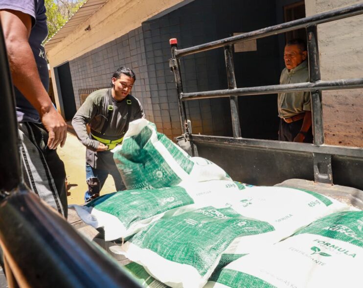 El Salvador: Fertilizantes a precio de costo para productores en programa nacional