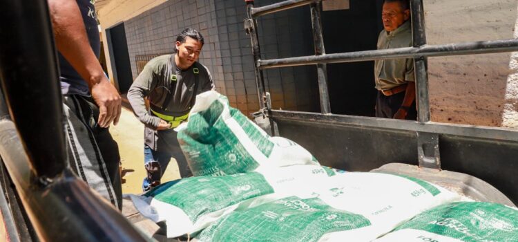El Salvador: Fertilizantes a precio de costo para productores en programa nacional