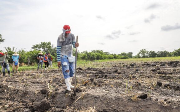Gobierno salvadoreño apuesta por planificación agrícola para blindar producción frente a la canícula