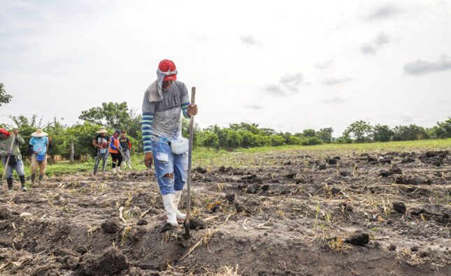 Gobierno salvadoreño apuesta por planificación agrícola para blindar producción frente a la canícula