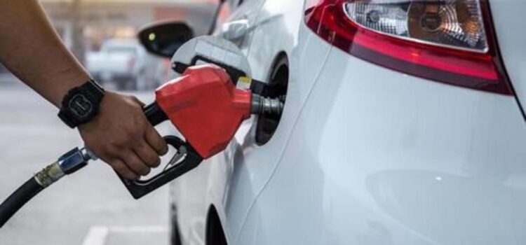 Estos son los precios de referencia de los combustibles vigentes para esta semana