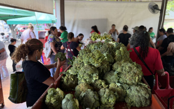 Agromercados de El Salvador buscan dar un respiro al presupuesto de las familias