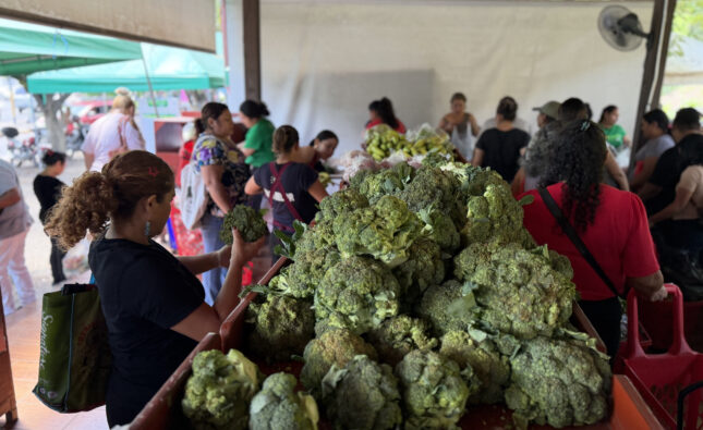 Agromercados de El Salvador buscan dar un respiro al presupuesto de las familias