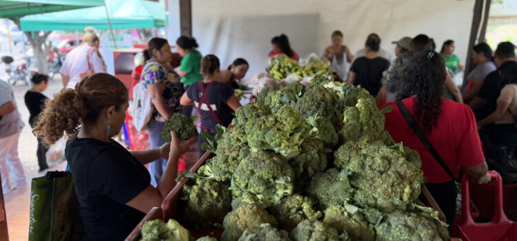 Agromercados de El Salvador buscan dar un respiro al presupuesto de las familias