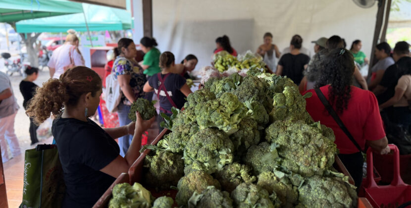Agromercados de El Salvador buscan dar un respiro al presupuesto de las familias