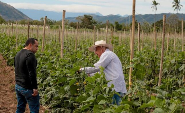 El Salvador apuesta por la producción agrícola y fortalece su estrategia de abastecimiento