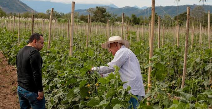 El Salvador apuesta por la producción agrícola y fortalece su estrategia de abastecimiento
